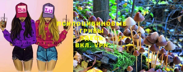 прущие крисы Медвежьегорск