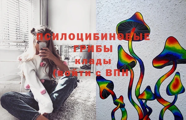 первитин Мегион