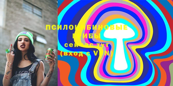 дживик Верхний Тагил