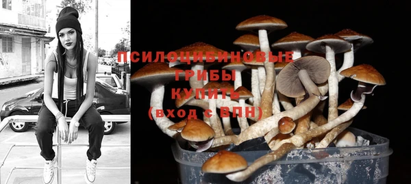 первитин Мегион