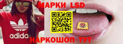 гашик Гусев