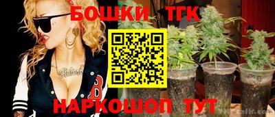 МДПВ Абакан