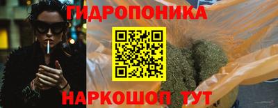гашик Гусев