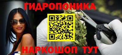 гашик Гусев