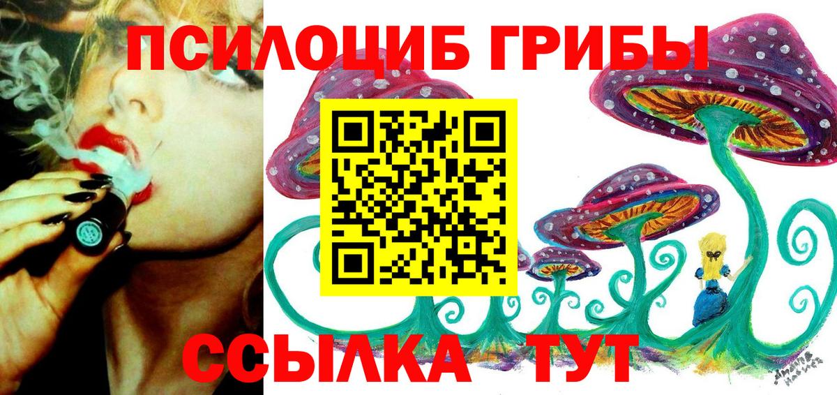продажа наркотиков  Галлюциногенные грибы GOLDEN TEACHER  Вход с VPN  Орск 
